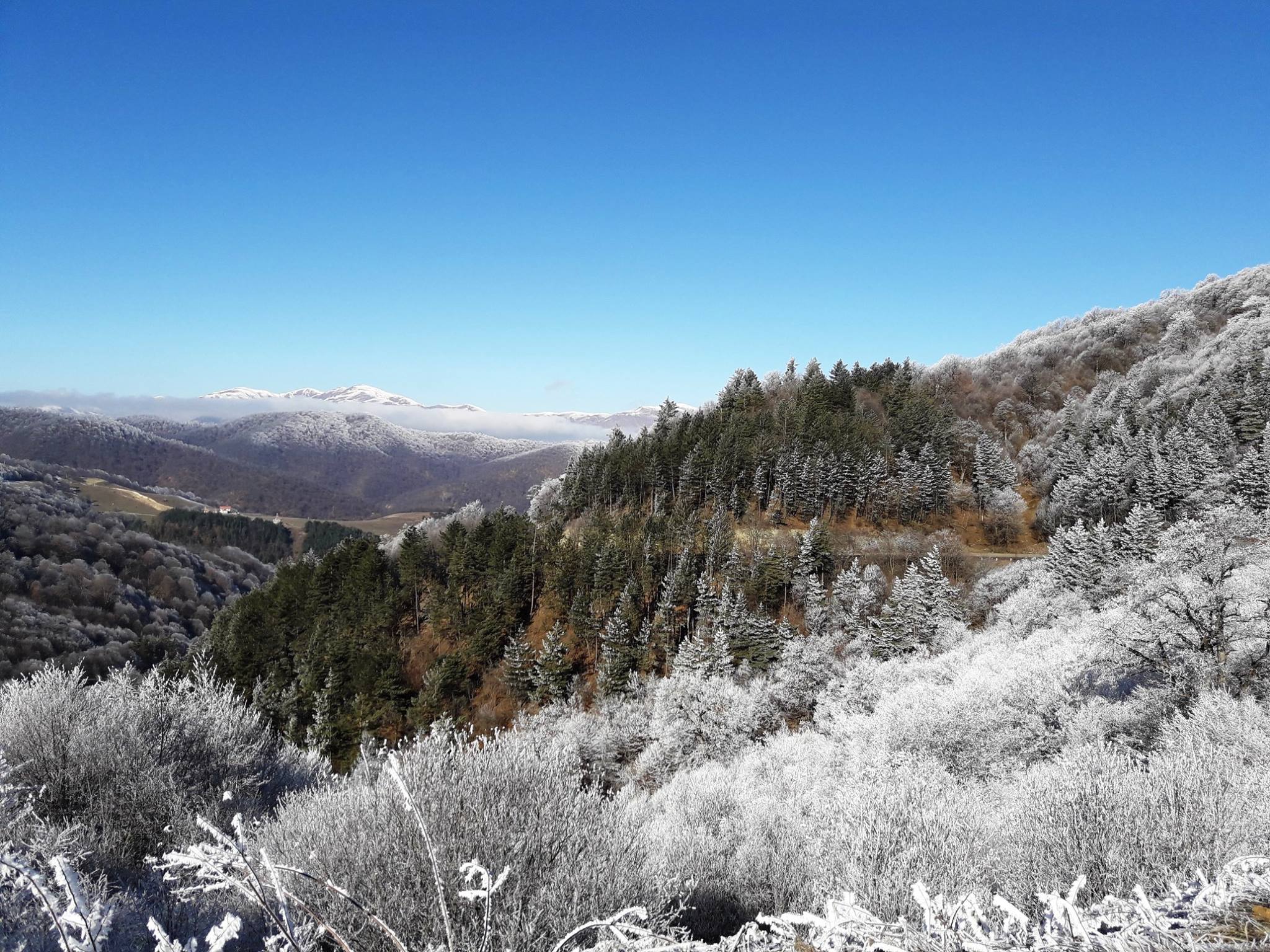 Biodiversity Research